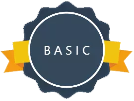 Basic Website
