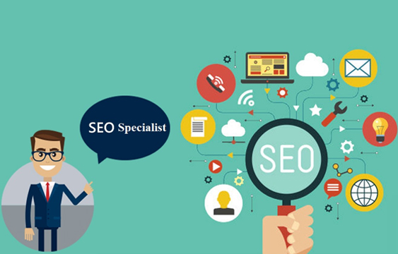 SEO Expert company in Ranaghat